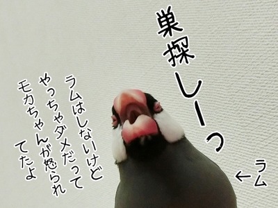 s-CIMG2673
