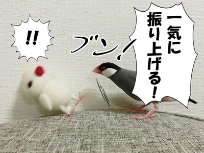 s-CIMG9569