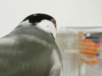 s-CIMG3517