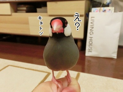 s-CIMG9778