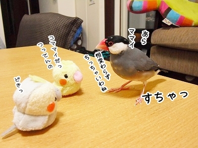 ブンチョ日誌