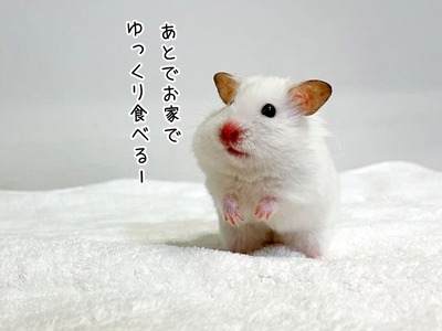 s-IMG_3879