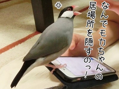 s-CIMG6905
