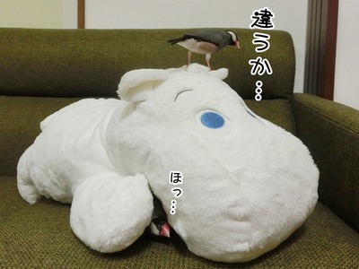 s-CIMG0148