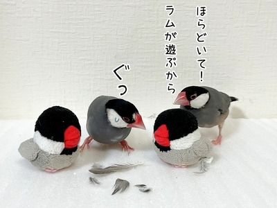 15