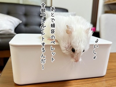 s-IMG_9965