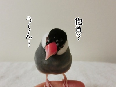 s-CIMG8398