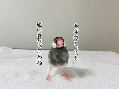 s-CIMG5738