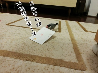 s-CIMG5237