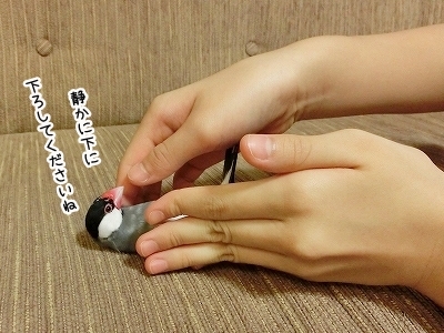 ブンチョ日誌