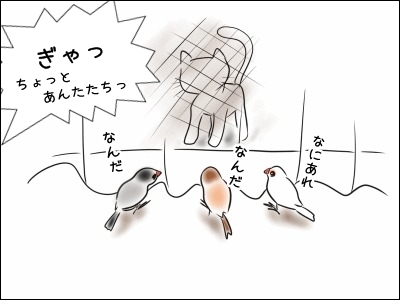 ブンチョ日誌