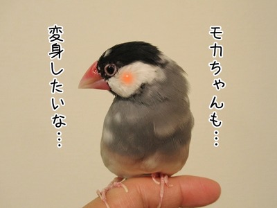 s-IMG_6177