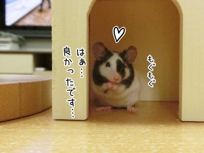 s-CIMG0997