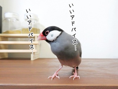 s-IMG_5484