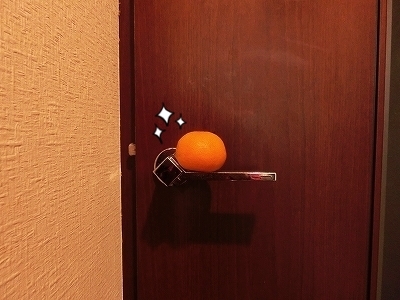ブンチョ日誌