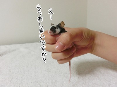 s-CIMG6065