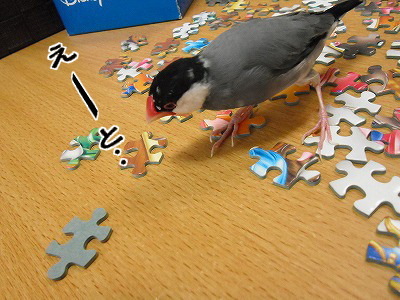 ブンチョ日誌