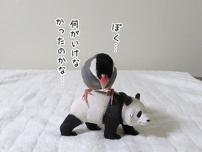 s-IMG_2420
