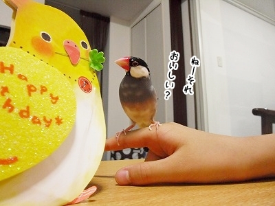 ブンチョ日誌