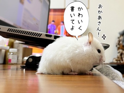 s-IMG_3514