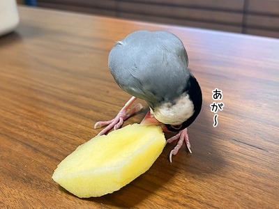 s-IMG_4663