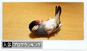 人気ブログランキングへ