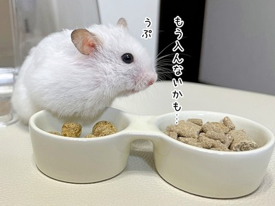 s-IMG_7102