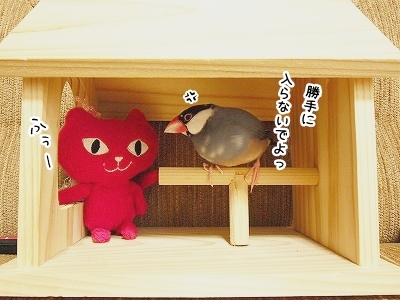 ブンチョ日誌