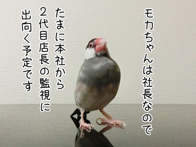 s-CIMG3986