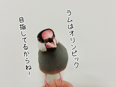 s-CIMG0253