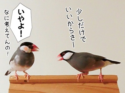 神々しい ブンチョ日誌 Powered By ライブドアブログ