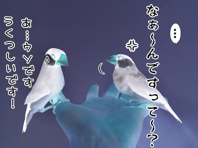 s-CIMG4436