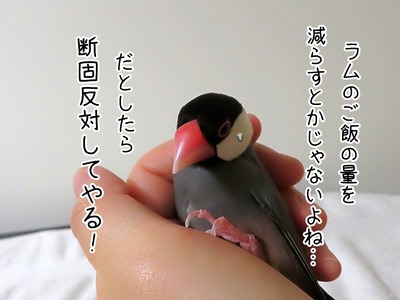 s-IMG_0264