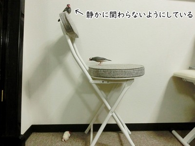 s-CIMG9587
