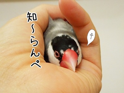 s-DSCN0344