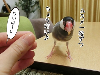 s-CIMG8435