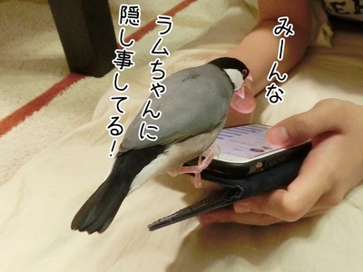 s-CIMG6883