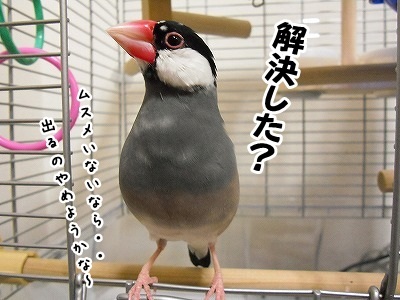 ブンチョ日誌