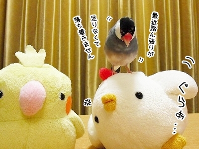 ブンチョ日誌