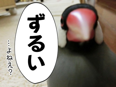 s-CIMG9757