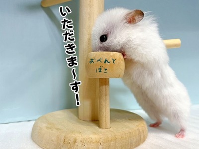 s-IMG_7262