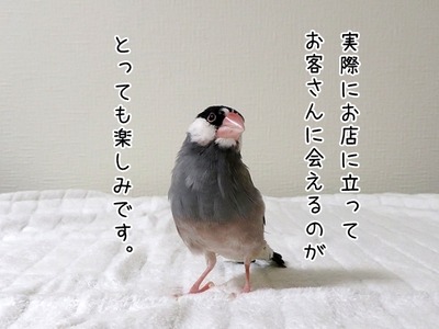 s-IMG_0014
