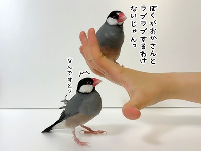 s-IMG_1205