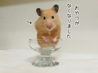 s-CIMG9973