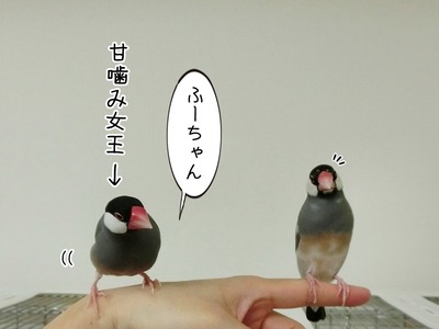 s-CIMG0167