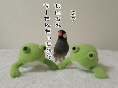 s-IMG_7024