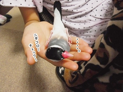 ブンチョ日誌