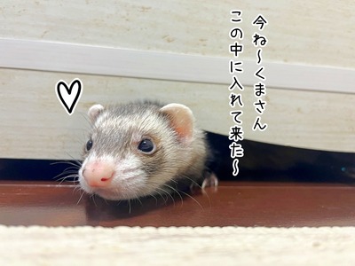 s-IMG_5884
