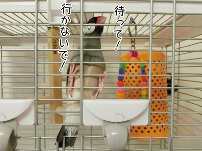 s-CIMG0920