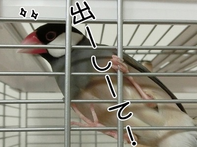 s-CIMG4882
